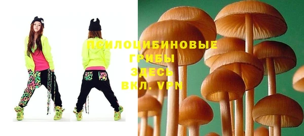 амф Осинники