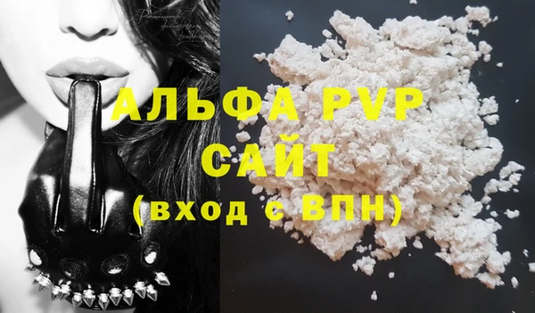 ECSTASY Богданович