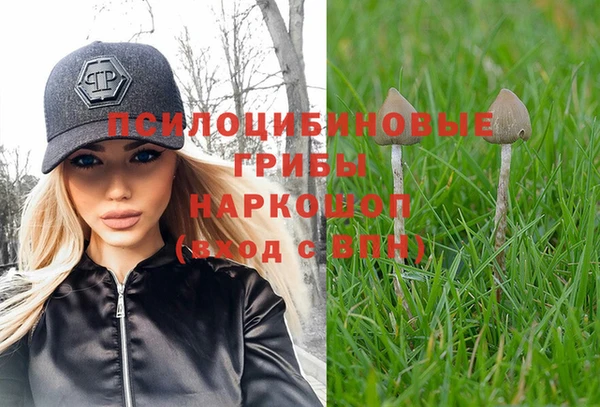 таблы Осташков