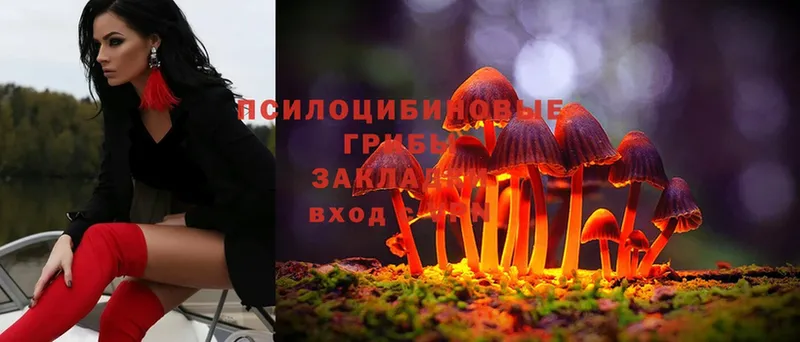 Галлюциногенные грибы Magic Shrooms  даркнет сайт  Алзамай 