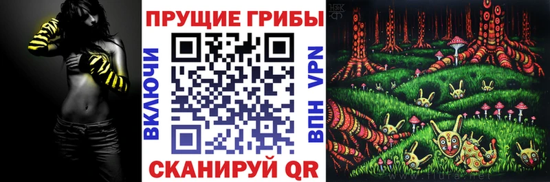 KRAKEN зеркало  Алзамай  Галлюциногенные грибы Magic Shrooms 